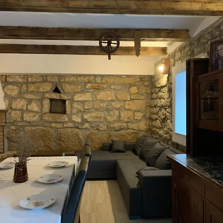 Holiday * Medvida